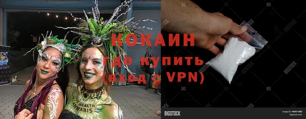 дживик Козельск