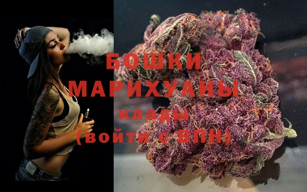 дживик Козельск