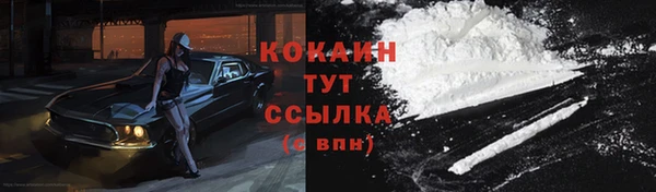 мдпв Козловка