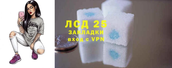 дживик Козельск