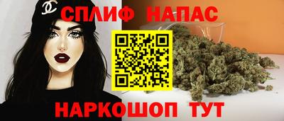 СК Дубна