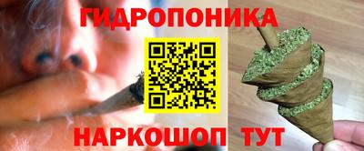 СК Дубна