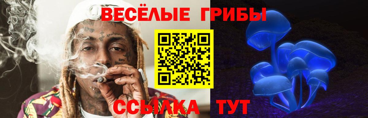 Ухта  Псилоцибиновые грибы ЛСД  Вход с VPN  Галлюциногенные грибы MAGIC MUSHROOMS 